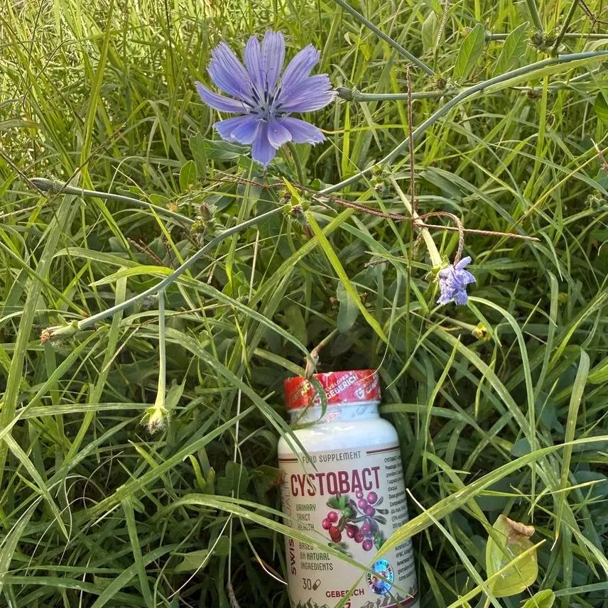 Cystobact — Packungsbild 2