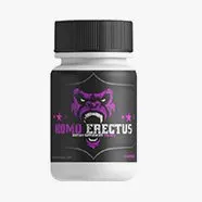 HomoErectus