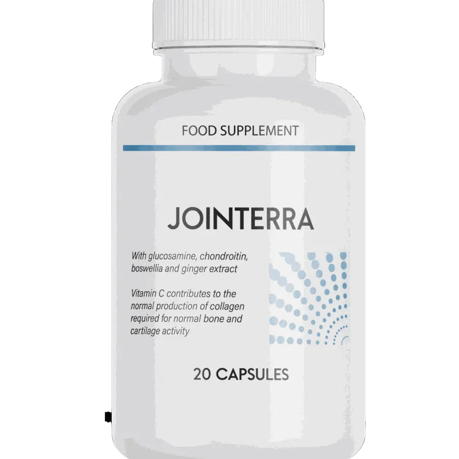 Jointerra