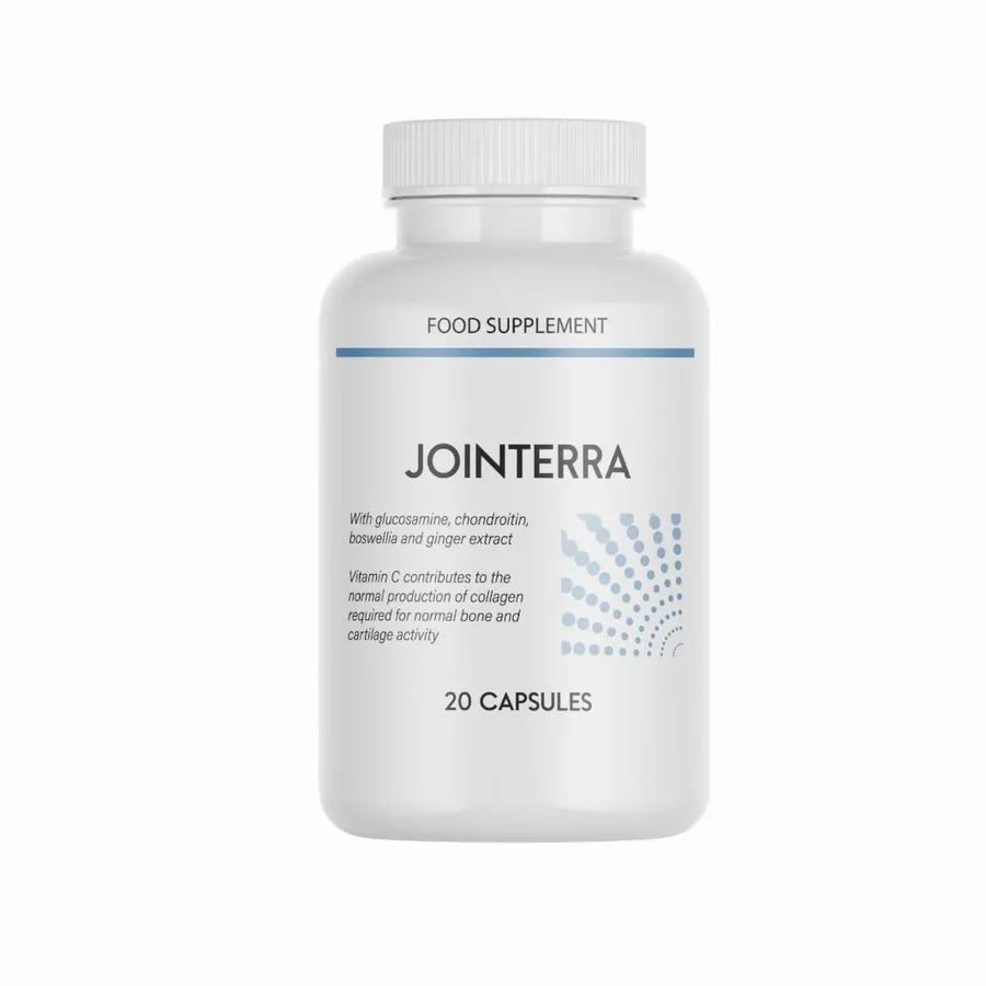 Jointerra — imagine 2