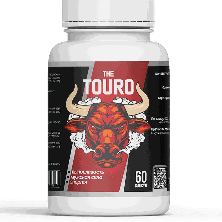 The Touro — фотография 2