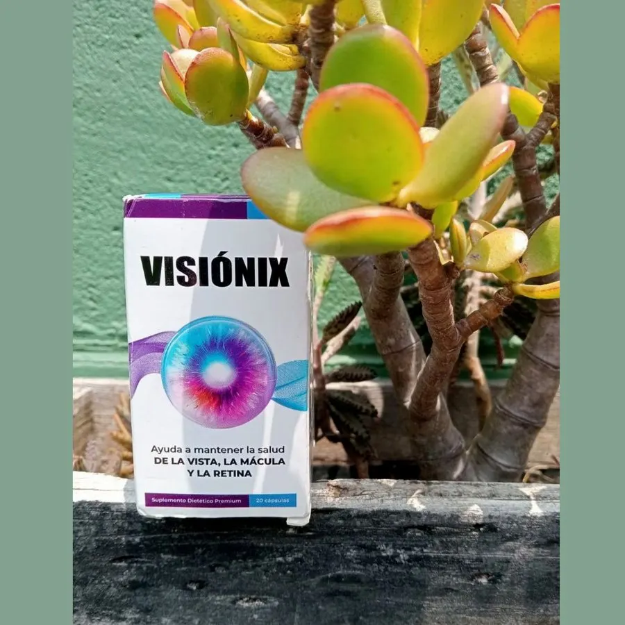 Visiónix — toma 1